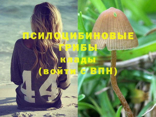 соль курить ск Алексин