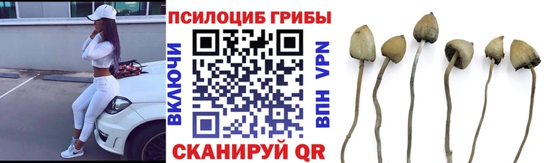 Псилоцибиновые грибы MAGIC MUSHROOMS  Гурьевск 