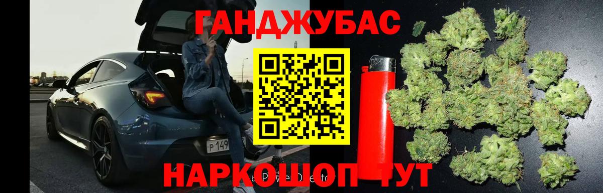 Конопля планчик Гурьевск